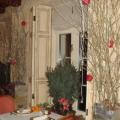 DSC02246.JPG